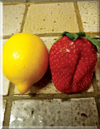 The lemon size strawberries