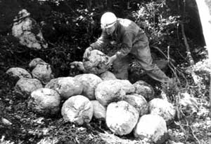 Stone balls for catapults which destroyed Montsegur. Archeological excavation of 1968