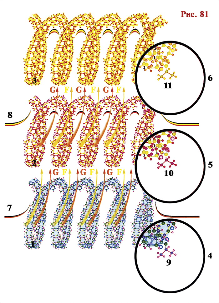 Отпечаток кода сигнала (9) появляется на эфирном (10) и астральном (11) уровнях нейрона