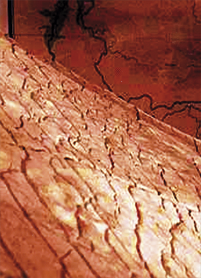 Фрагмент каменной карты, на которой изображена огромная оросительная система