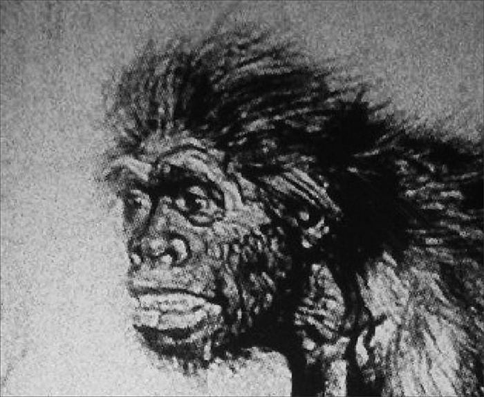 Реконструкция внешнего вида неандертальца Франтишека Купки под руководством М. Буля (фр. Marcellin Boule)